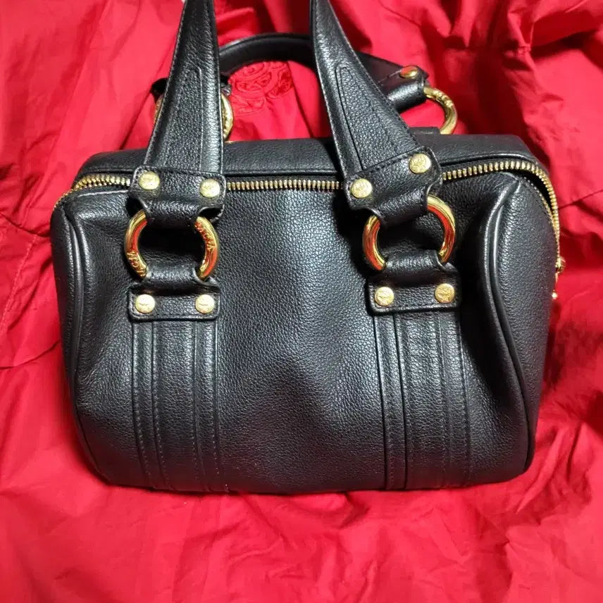 [BUNJANG] MCM Bag / 엠씨엠 가방