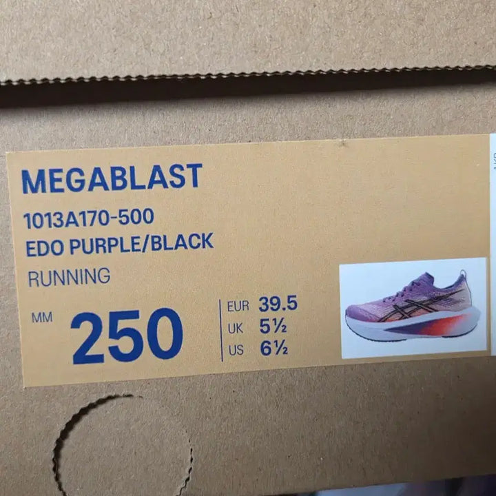 [SOLD OUT] *아식스 메가블라스트 250mm (245추천)