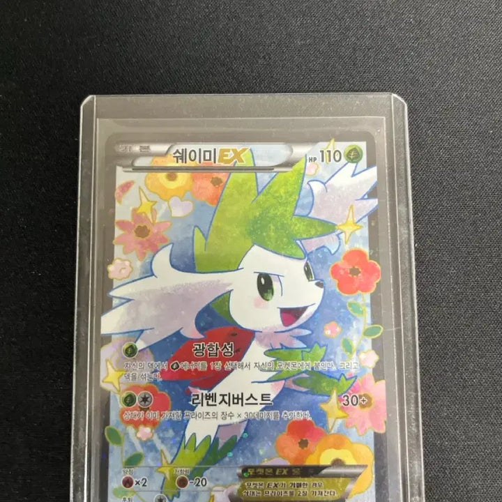 [SOLD OUT] 포켓몬카드 쉐이미 샤이니 컬렉션