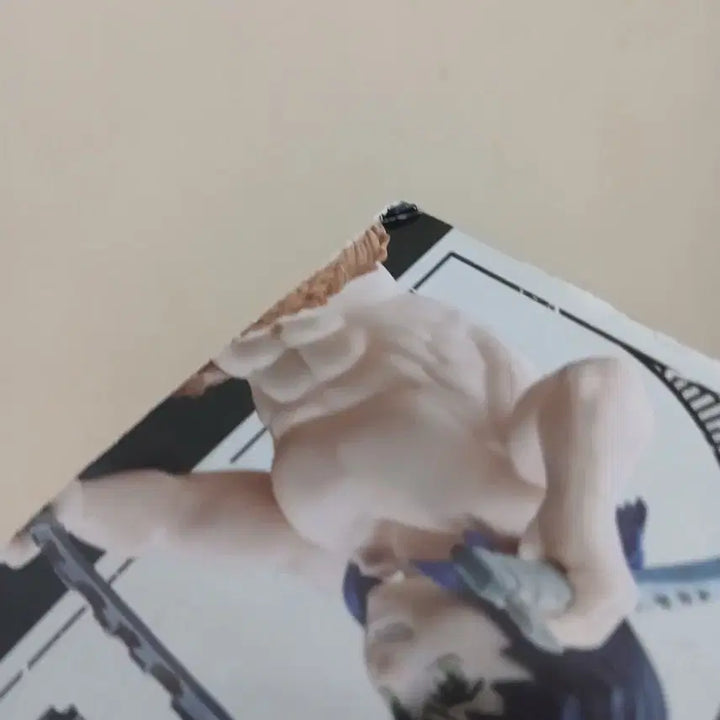 [BUNJANG] Demon Slayer Hashibira Inosuke Model Kit Plastic Model / 귀멸의 칼날 하시비라 이노스케 모델키트 프라모델