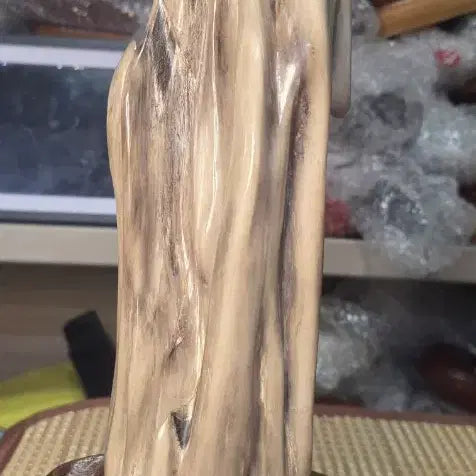 [BUNJANG] Fossilized Wood / 규화목(나무화석)