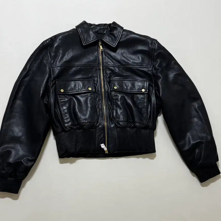 [SOLD OUT] 윌리차바리아 자라 종류 많아요