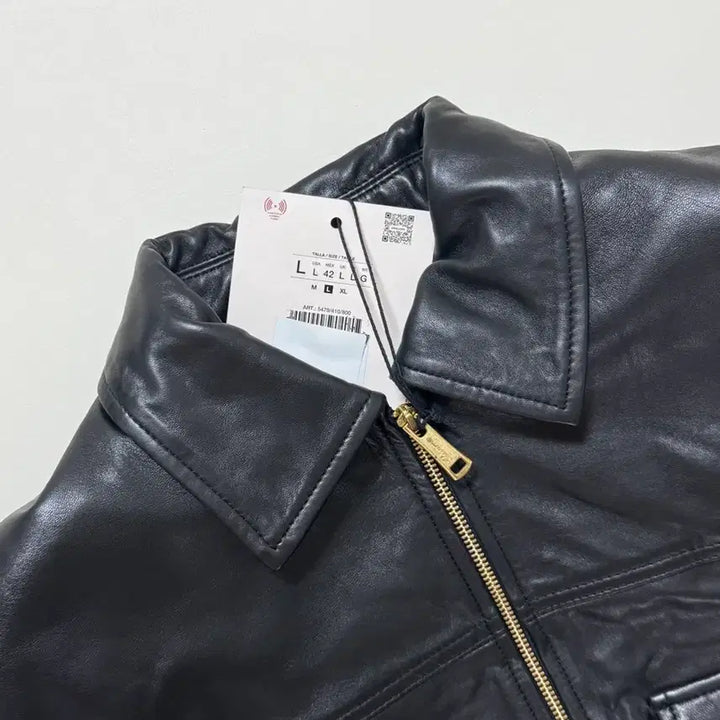 [SOLD OUT] 윌리차바리아 자라 종류 많아요