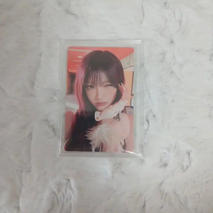[SOLD OUT] 아이브 포카 팝니당