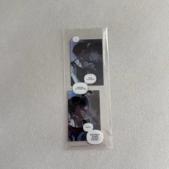 [BUNJANG] Fantasy Trio Ridigo Bookmark Special Edition / 판타지트 리디고 책갈피 특전 하프라인