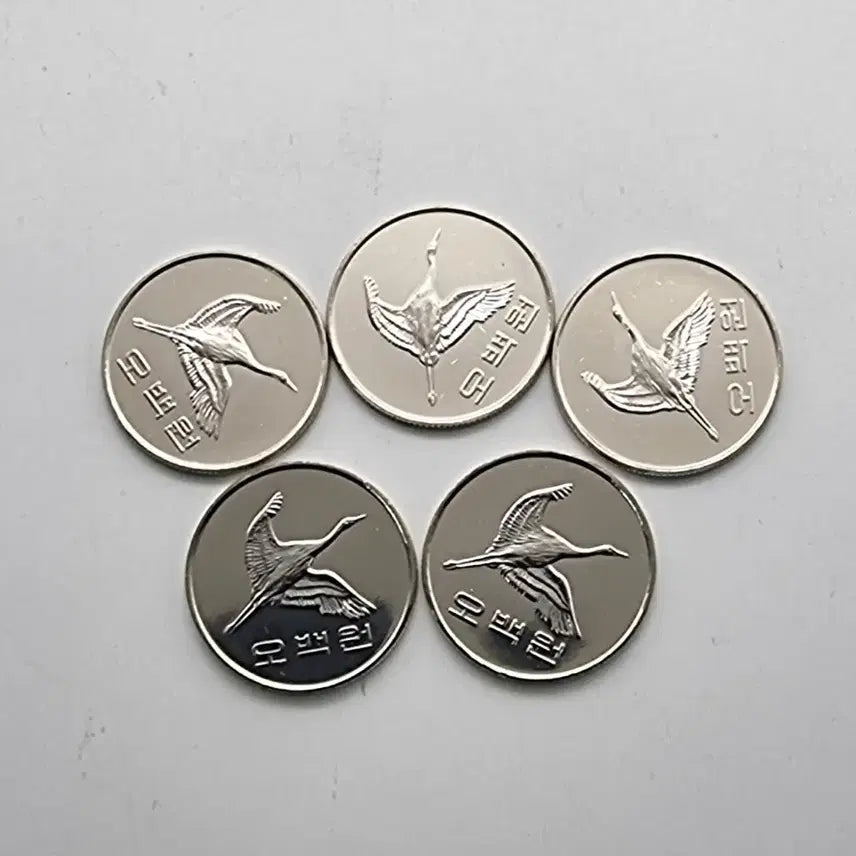 [SOLD OUT] 2019년500주화 미사용5개