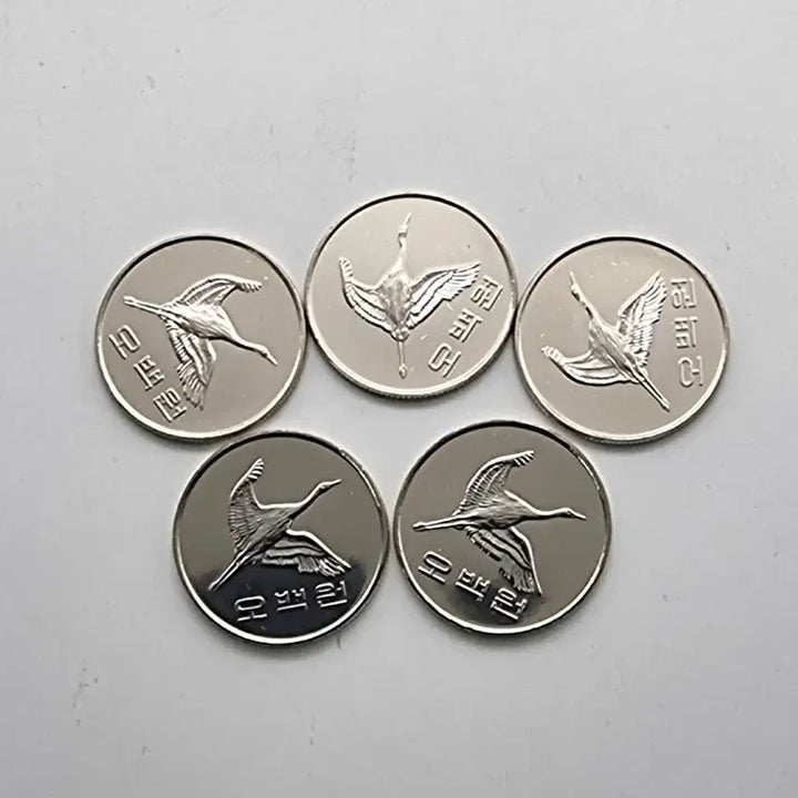 [SOLD OUT] 2019년500주화 미사용5개