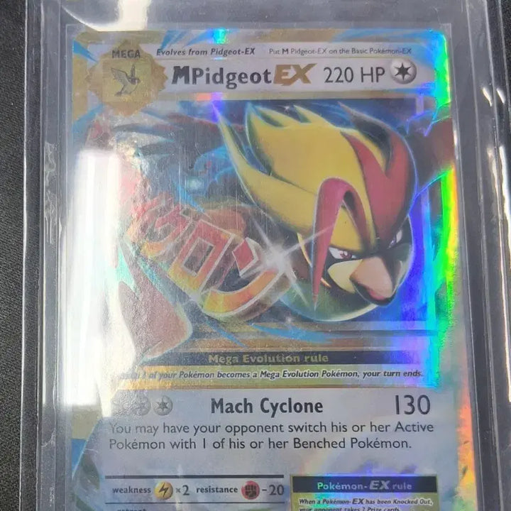 [BUNJANG] Pokemon M Pidgeotto EX Card / 북미 포켓몬 카드 M피죤투EX
