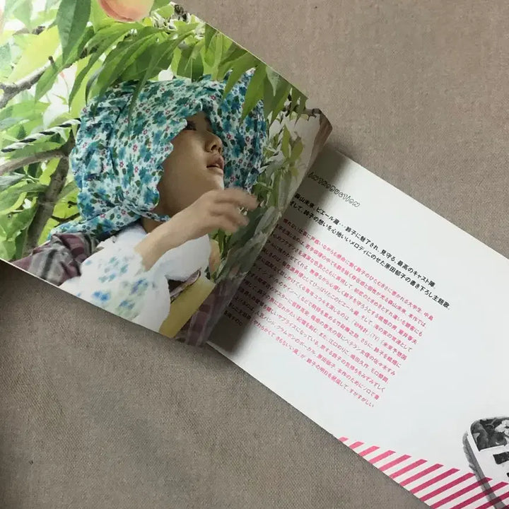 [BUNJANG] Aoi Yuu Suzuko "One Million Yen Girl" Movie Pamphlet / 아오이유우 백만엔걸 스즈코 영화 팜플렛