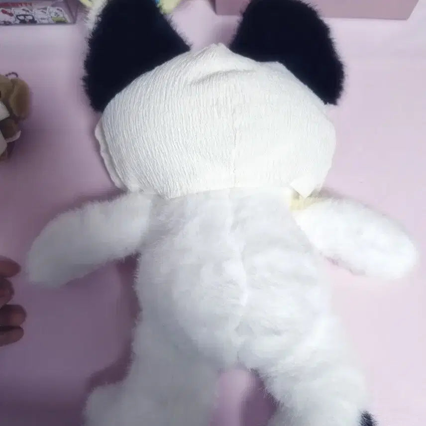 [BUNJANG] Bonnet Cat Plush Doll / 보닛 고양이 애착인형 판매해요!