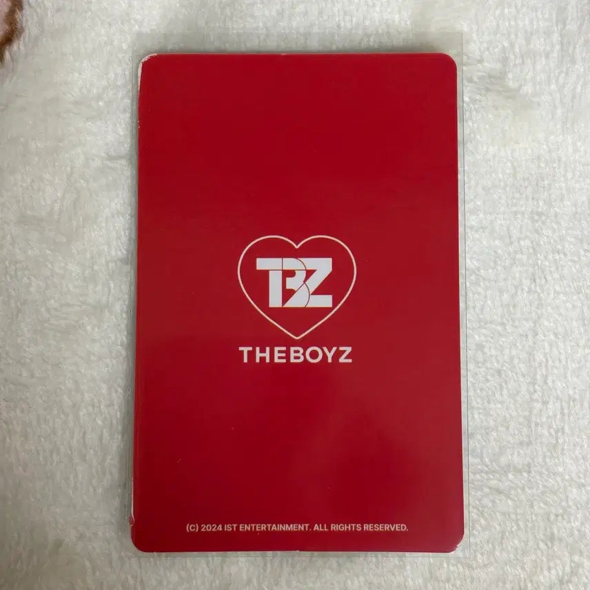 [BUNJANG] THE BOYZ Sunwoo Jener2 Doll Photocard Holder + Photocard / 더보이즈 선우 제너2 인형 포카홀더+포카