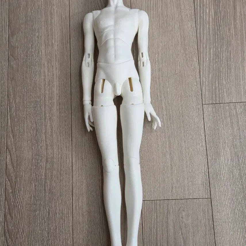 [SOLD OUT] msd 큰미니 바디