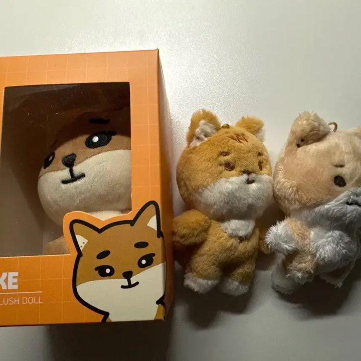 [SOLD OUT] 원가이하))데이식스 영케이 데니멀즈 24 케 쁘띠멀즈 깡냥이 일괄