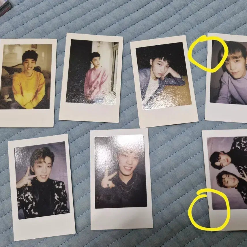 [SOLD OUT] 세븐틴 디노 짭폴라 일괄 양도 합니다