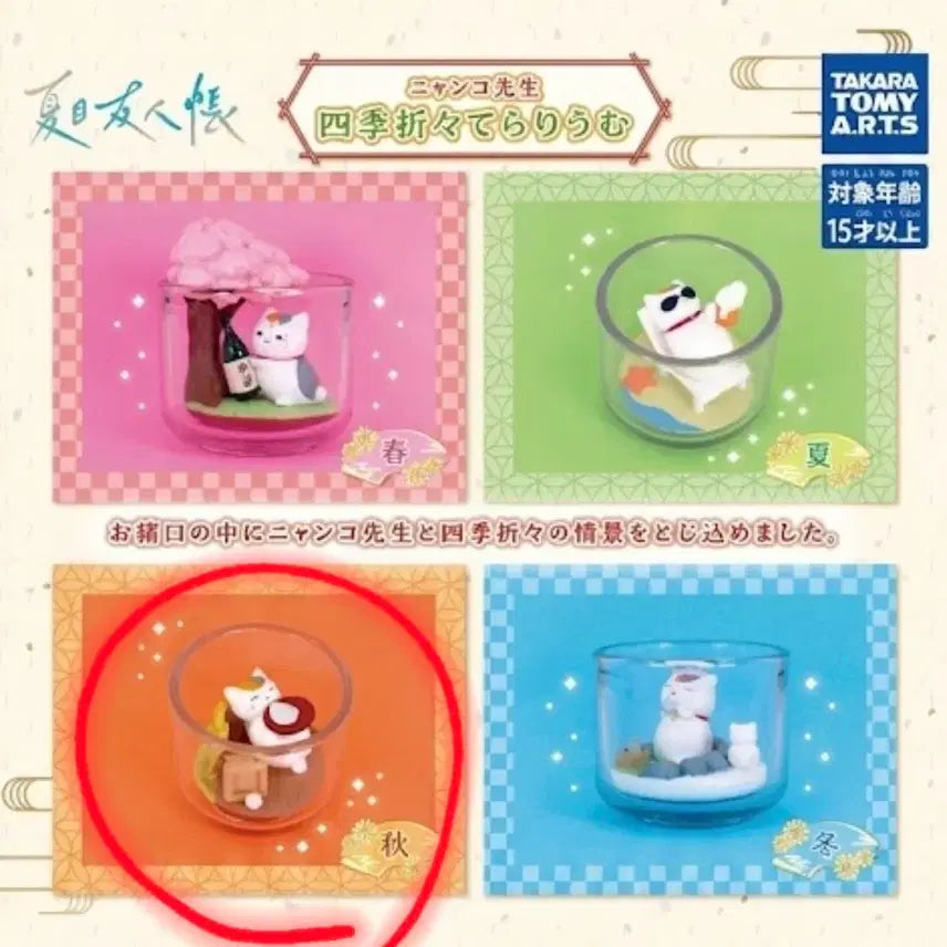 [SOLD OUT] 나츠메우인장 냥코센세 사계절 테라리움 가챠(가을)