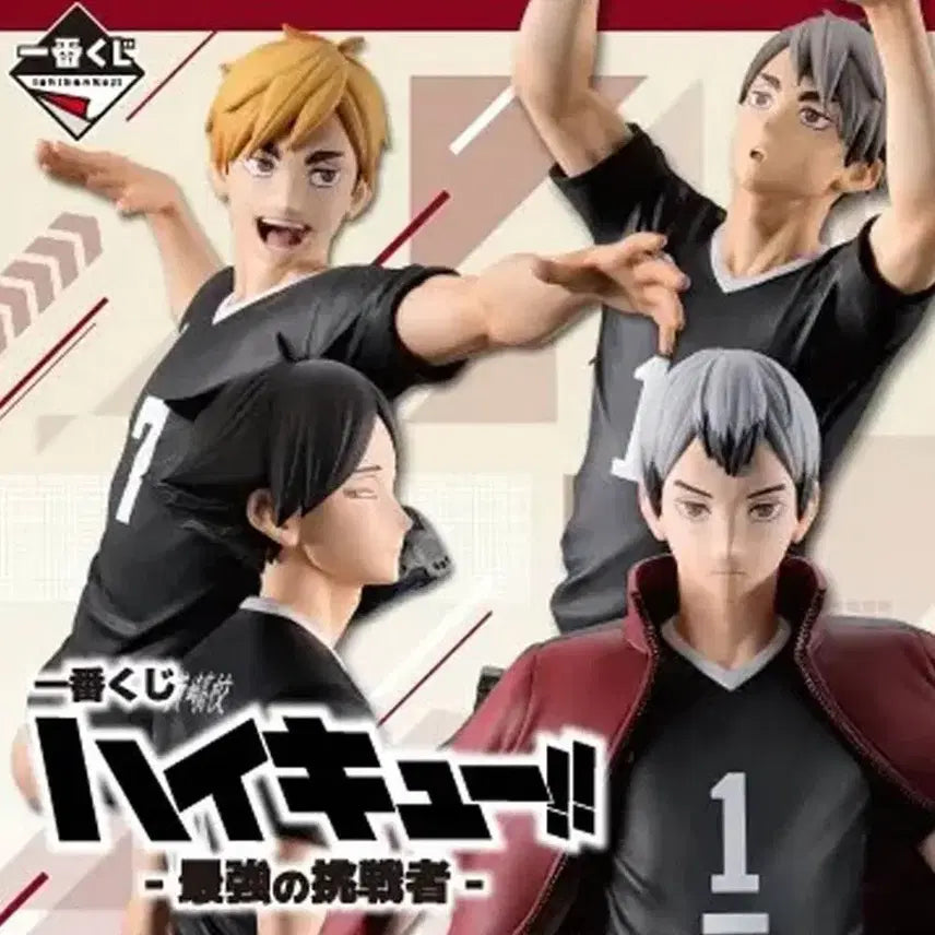 [SOLD OUT] [미개봉풀셋] 하이큐 이나리자키 최강의도전자 abcde라원 일괄 판매