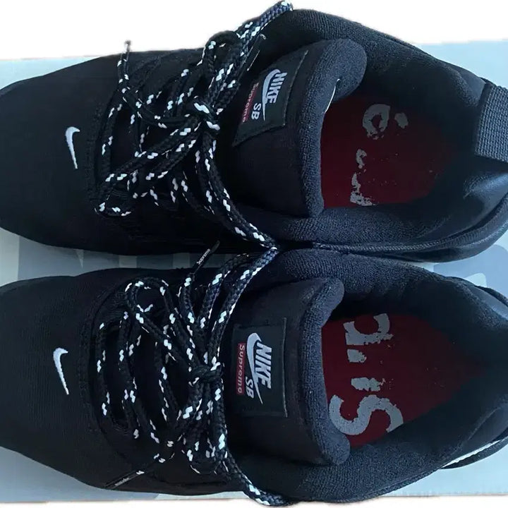[BUNJANG] Nike Supreme Darwin Sneakers / 나이키 슈프림 다윈
