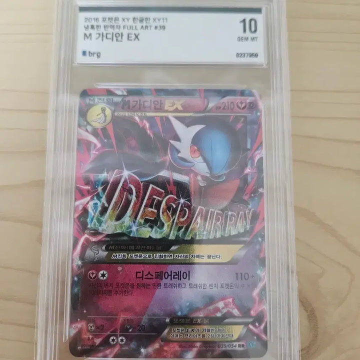 [SOLD OUT] 포켓몬 M가디안EX 풀아트 카드 XY11 brg10