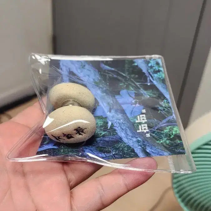 [BUNJANG] Salmokji Stone Magnet / 살목지 돌멩이 마그넷 딱딱