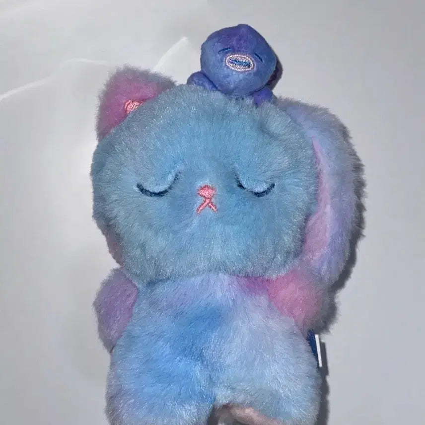 [SOLD OUT] 풀박스 라이즈 원빈 미드나잇 미라지 보이스 키링 토냥덕 인형
