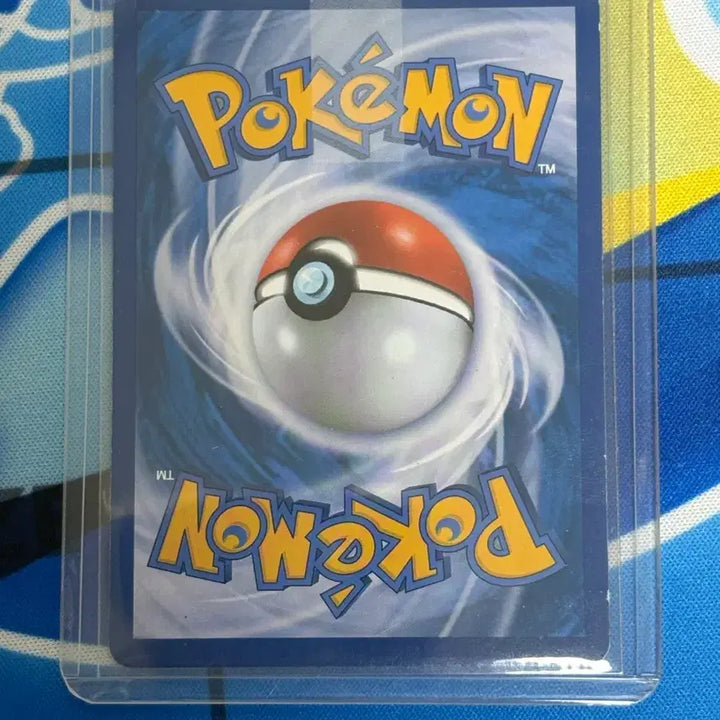 [BUNJANG] Pokemon Card 2017 Skyla SR / 포켓몬 카드 2017 수련 SR