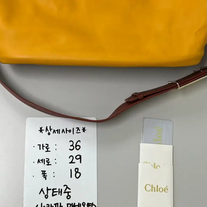 [BUNJANG] Chloé Bailey Convertible Tote Bag / [정품/새상품] 끌로에 베일리 컨버티블 토트백
