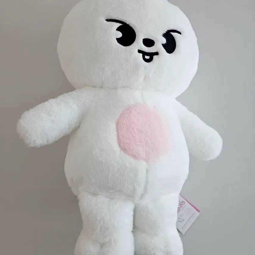 [SOLD OUT] 스키주 테디베어 리빗 / 택o , 여권o