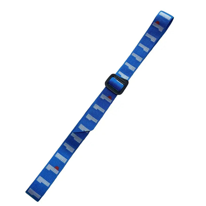 [BUNJANG] Patagonia Friction Belt - Blue / 파타고니아 프릭션 벨트 블루