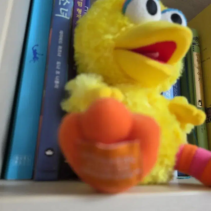 [BUNJANG] Sesame Street Big Bird Plush Toy Universal Studios / 세서미 스트리트 빅버드 인형/유니버셜스튜디오