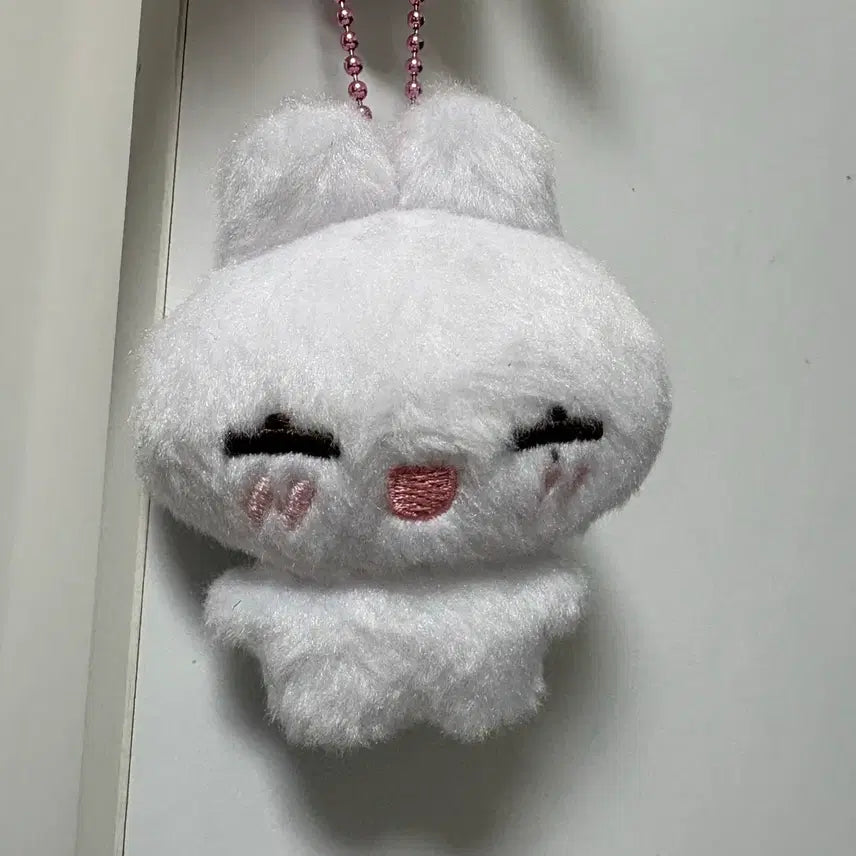 [SOLD OUT] 엔하이픈 선우 인형 해피떤
