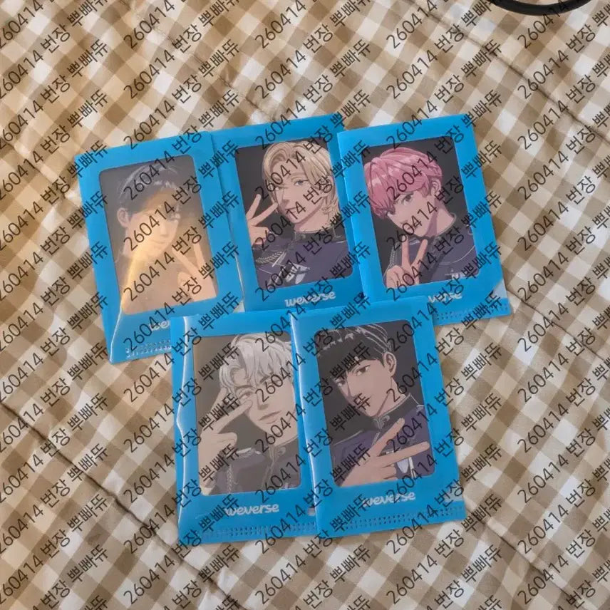 [SOLD OUT] 플레이브 위버스콘 포카 일괄