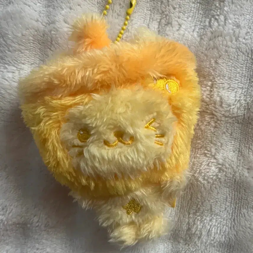 [SOLD OUT] 버블냥 팔아요