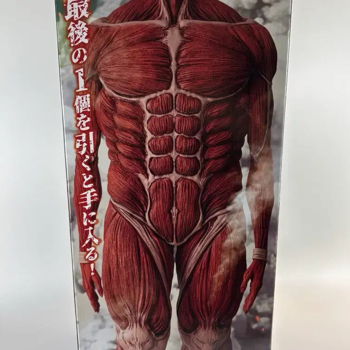 [BUNJANG] Attack on Titan Colossal Titan Unsealed Figure / [미개봉] (택포 37)진격의거인 초대형거인 미개봉 피규어