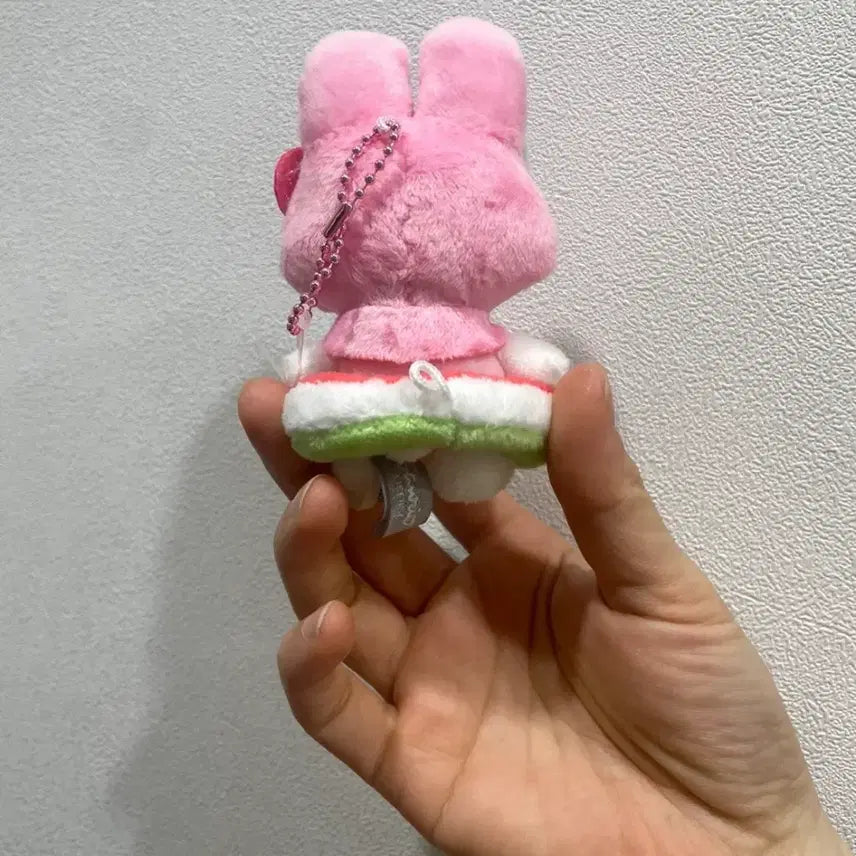 [BUNJANG] Sanrio My Melody Winter &amp; Pool Doll Keyring Bundle Set / 산리오 마이멜로디 겨울, 수영장 인형 키링(일괄)
