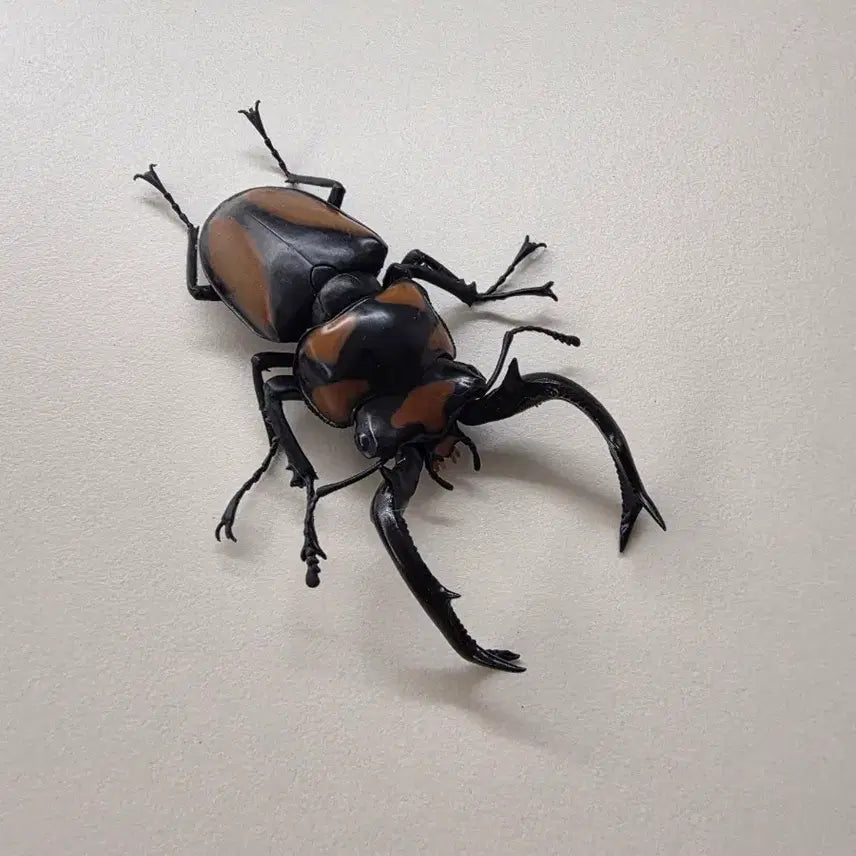 [BUNJANG] Bandai Creatures Great Encyclopedia Plastic Model Kit / 반다이 생물대도감