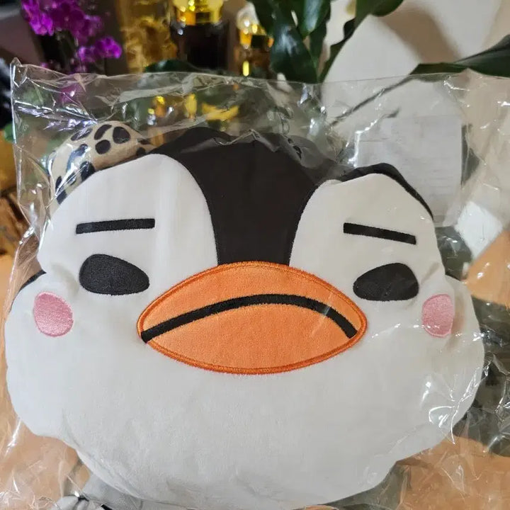 [SOLD OUT] 이준호 JYP재팬 팝업스토어 2024 투웨이 넥필로우
