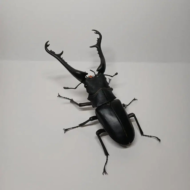 [BUNJANG] Bandai Giraffa Beetle Case Kea Advanced Figure / 반다이 생물대도감 어드밴스 기라파톱사슴벌레 케이스케아종
