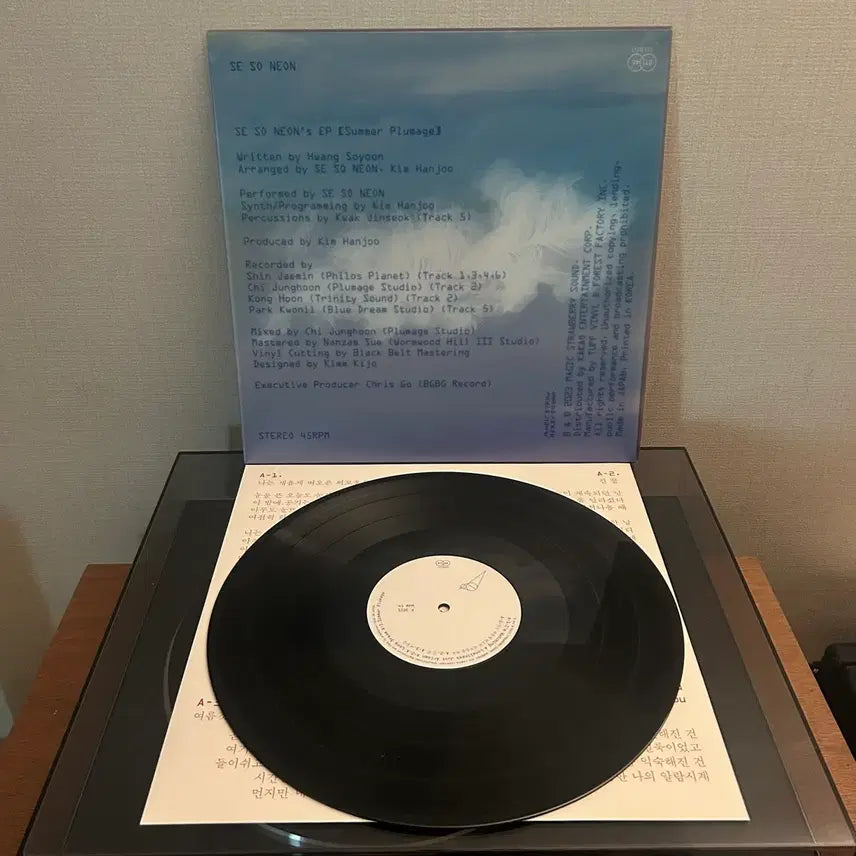[SOLD OUT] 새소년 여름깃 + 비적응 lp