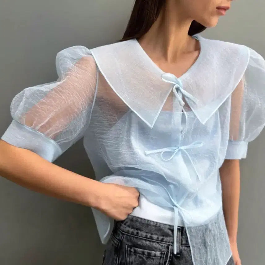 [BUNJANG] DRAGONBLUES Organza Blouse, S / DRAGONBLUES 드래곤블루스 오간자 블라우스, S