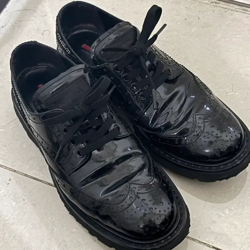 [BUNJANG] Prada Wingtip Derby Shoes EU36.5 / 프라다 윙팁 더비슈즈 eu36.5 (235) 유광