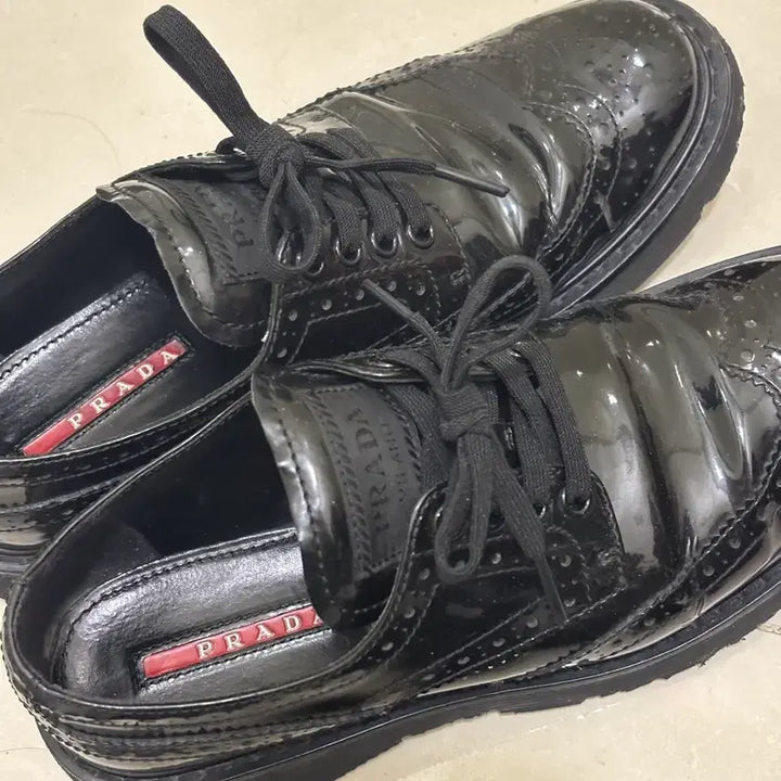 [BUNJANG] Prada Wingtip Derby Shoes EU36.5 / 프라다 윙팁 더비슈즈 eu36.5 (235) 유광