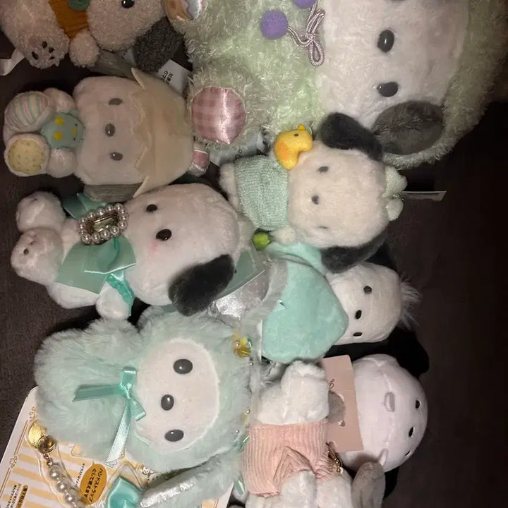 [BUNJANG] Sanrio Pochacco Plush Doll / 산리오 포챠코 인형