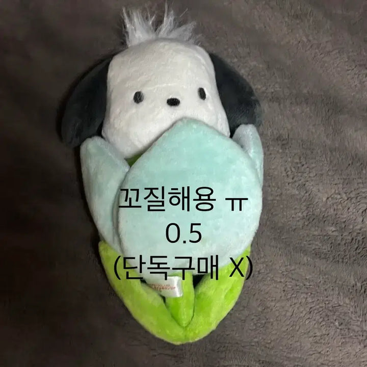 [BUNJANG] Sanrio Pochacco Plush Doll / 산리오 포챠코 인형