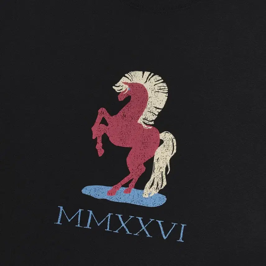 [SOLD OUT] 아이앱 스튜디오 레드 홀스 티셔츠 블랙 xxl