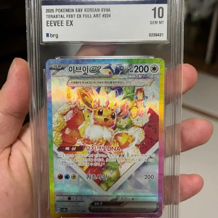 [SOLD OUT] 포켓몬 카드 등카 싱카 팝니다.
