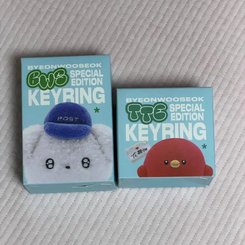[SOLD OUT] 변우석 인형키링 일괄판매