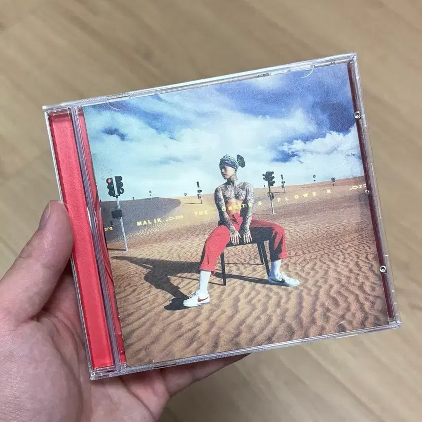 [SOLD OUT] 던말릭 선인장화 cd