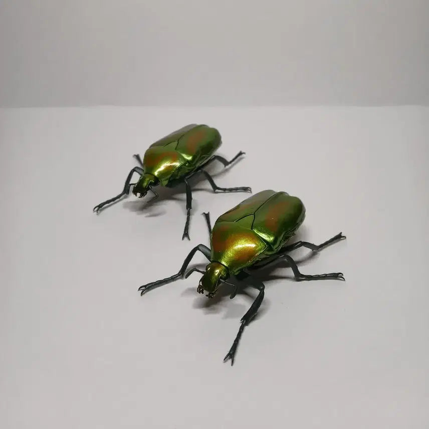 [BUNJANG] Bandai Bio-figure Azure Dragon Set / 반다이 생물대도감 청풍이 두마리세트 한마리 가격에 두 마리 가져가세요