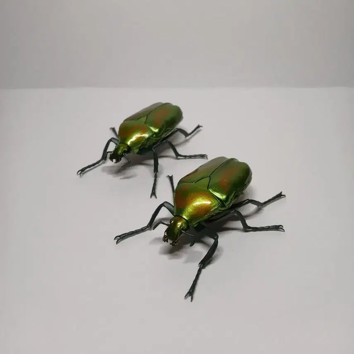 [BUNJANG] Bandai Bio-figure Azure Dragon Set / 반다이 생물대도감 청풍이 두마리세트 한마리 가격에 두 마리 가져가세요