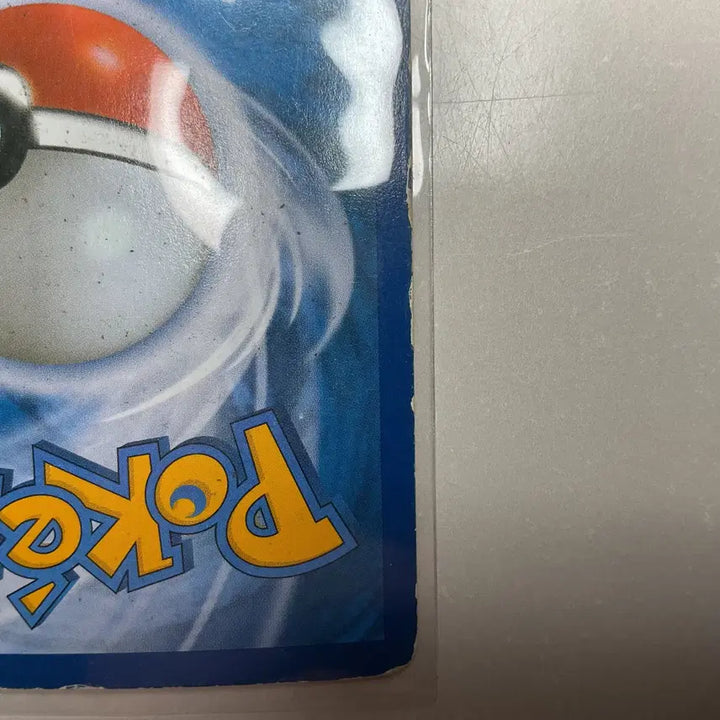 [SOLD OUT] 포켓몬카드 고전 메가리자몽 도감용